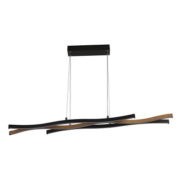 Searchlight - LED lustra uz kabeļa BLOOM LED/38W/230V 2300/3000/4000K