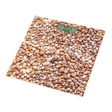 Sencor - Digitālie personālie svari ar LCD ekrānu 1xCR2032