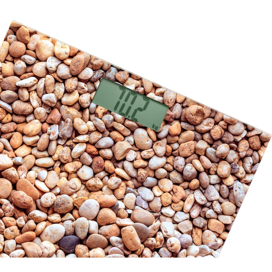 Sencor - Digitālie personālie svari ar LCD ekrānu 1xCR2032