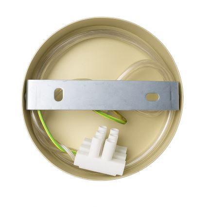 Sienas gaismeklis CAPITAL 1xGX53/15W/230V zelta