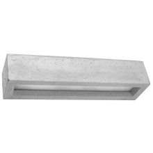 Sienas gaismeklis VEGA 2xE27/60W/230V 50 cm betona