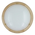 Sienas griestu gaismeklis 1xE27/60W/230V