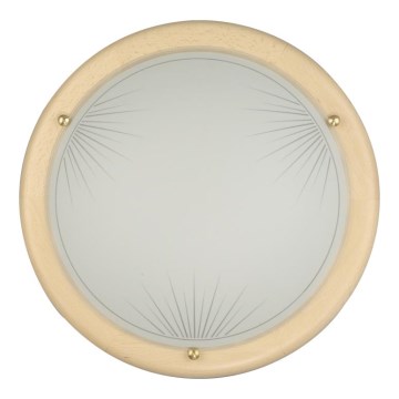 Sienas griestu gaismeklis 1xE27/60W/230V