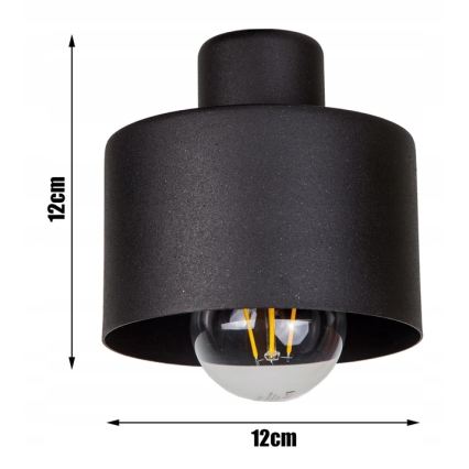 Sienas lampa 1xE27/20W/230V melna