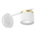 Sienas lampa 1xGX53/35W/230V balta/zelta