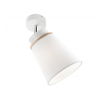 Sienas lampa AGUSTINO 1xE27/60W/230V