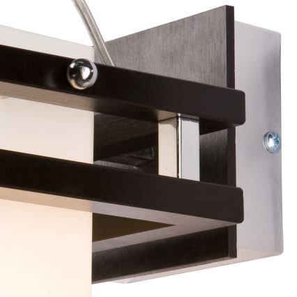 Sienas lampa ALAN 1xE27/60W/230V dižskābardis