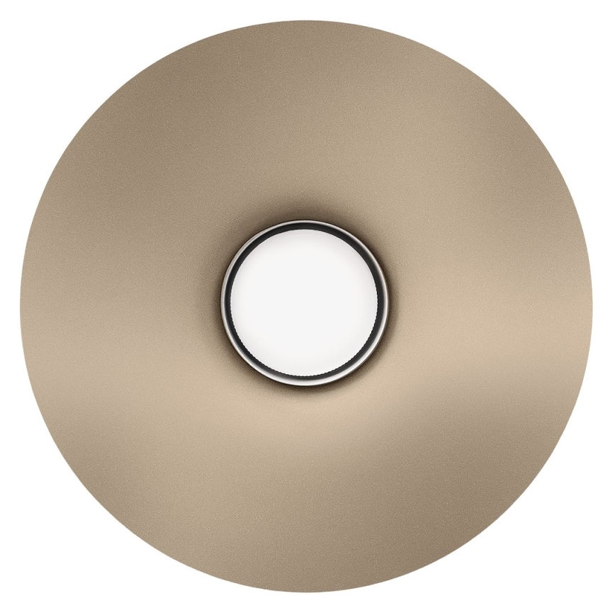 Sienas lampa CAPITAL 1xGX53/15W/230V pelēkbrūna