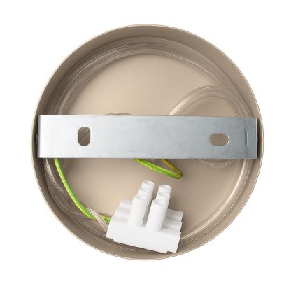 Sienas lampa CAPITAL 1xGX53/15W/230V pelēkbrūna