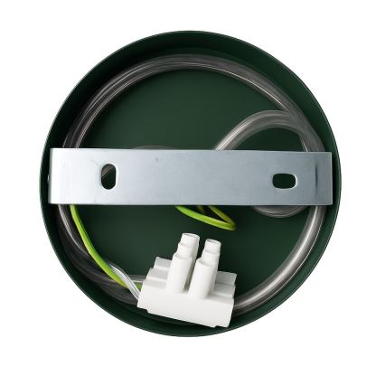 Sienas lampa CAPITAL 1xGX53/15W/230V zaļa