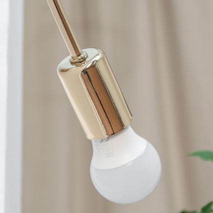 Sienas lampa OXFORD 1xE27/15W/230V zelta krāsā