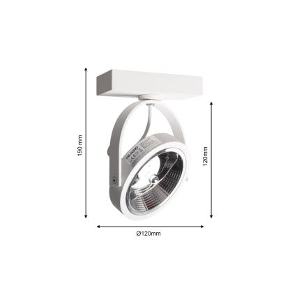 Sienas starmetis LUGAR 1xAR111 - GU10/25W/230V