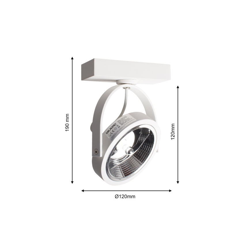 Sienas starmetis LUGAR 1xAR111 - GU10/25W/230V