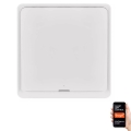 Slēdzis 1 poga GoSmart 1xCR2430 Tuya balta