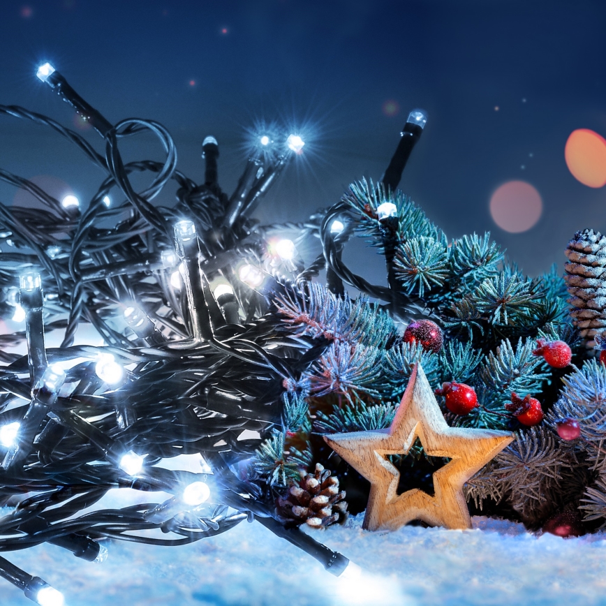 LED āra virtene, 200 LED, 8 režīmi, 15 m, IP44, auksti balta