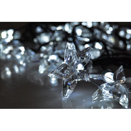 LED virtene, 20 LED, 6 m, auksti balta