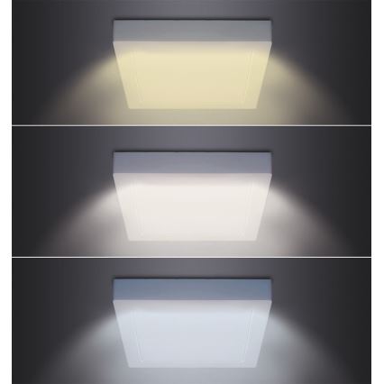 LED griestu gaismeklis LED/12W/230V 3000/4000/6000K 17x17 cm balts