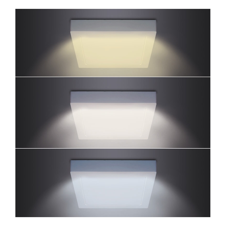 LED griestu gaismeklis LED/12W/230V 3000/4000/6000K 17x17 cm balts
