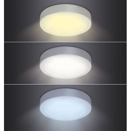 LED griestu gaismeklis LED/18W/230V 3000/4000/6000K Ø 22,5 cm balta