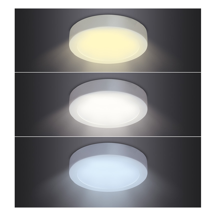 LED griestu gaismeklis LED/18W/230V 3000/4000/6000K Ø 22,5 cm balta