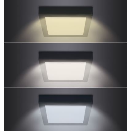 LED Griestu lampa LED/18W/230V 3000/4000/6000K melna, stūrains