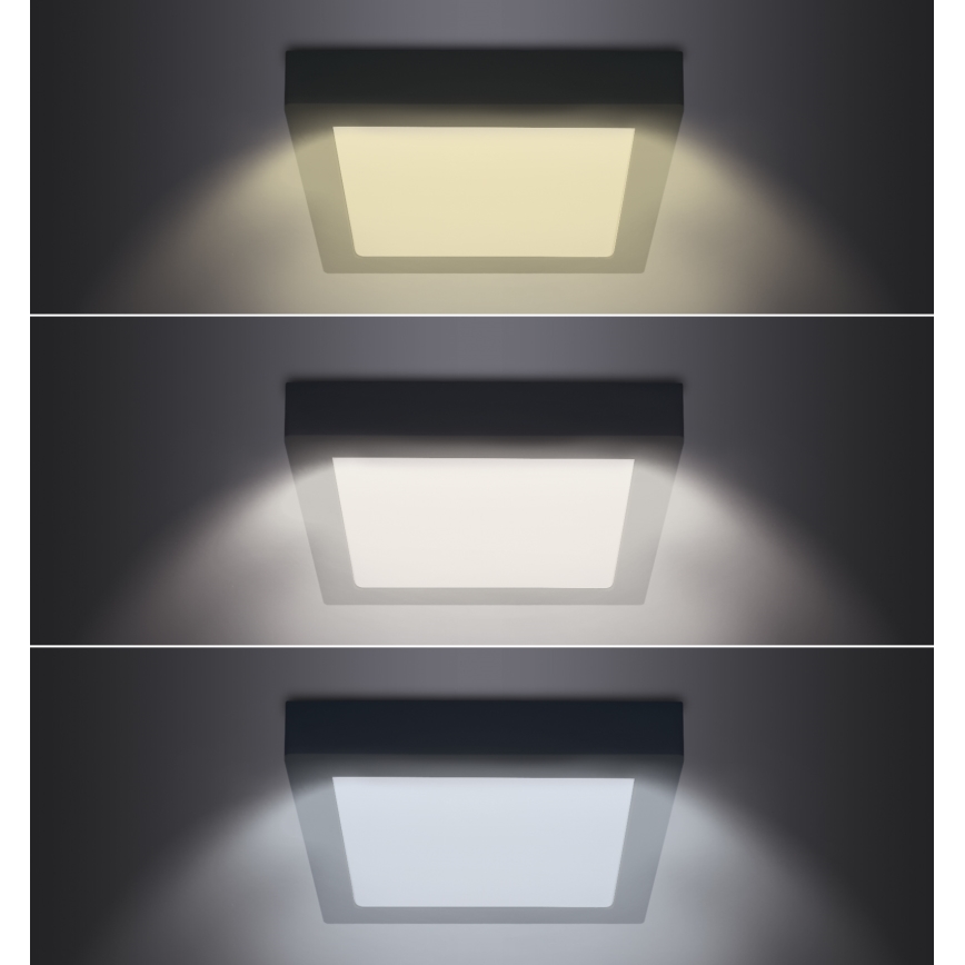 LED Griestu lampa LED/24W/230V 3000/4000/6000K melna, stūraina