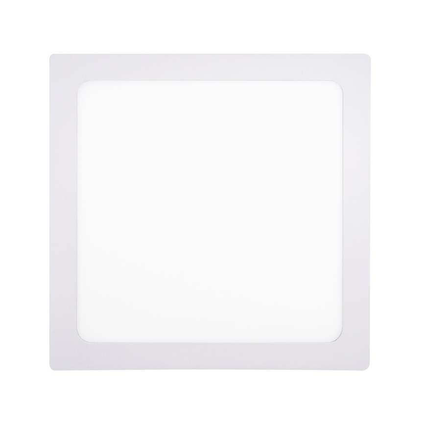 LED griestu gaismeklis LED/24W/230V 3000/4000/6000K 30x30 cm balts