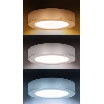 LED virsmas/iebūvējamais panelis 2in1 LED/12W/230V 3000/4000/6000K Ø17 cm IP54 sudraba