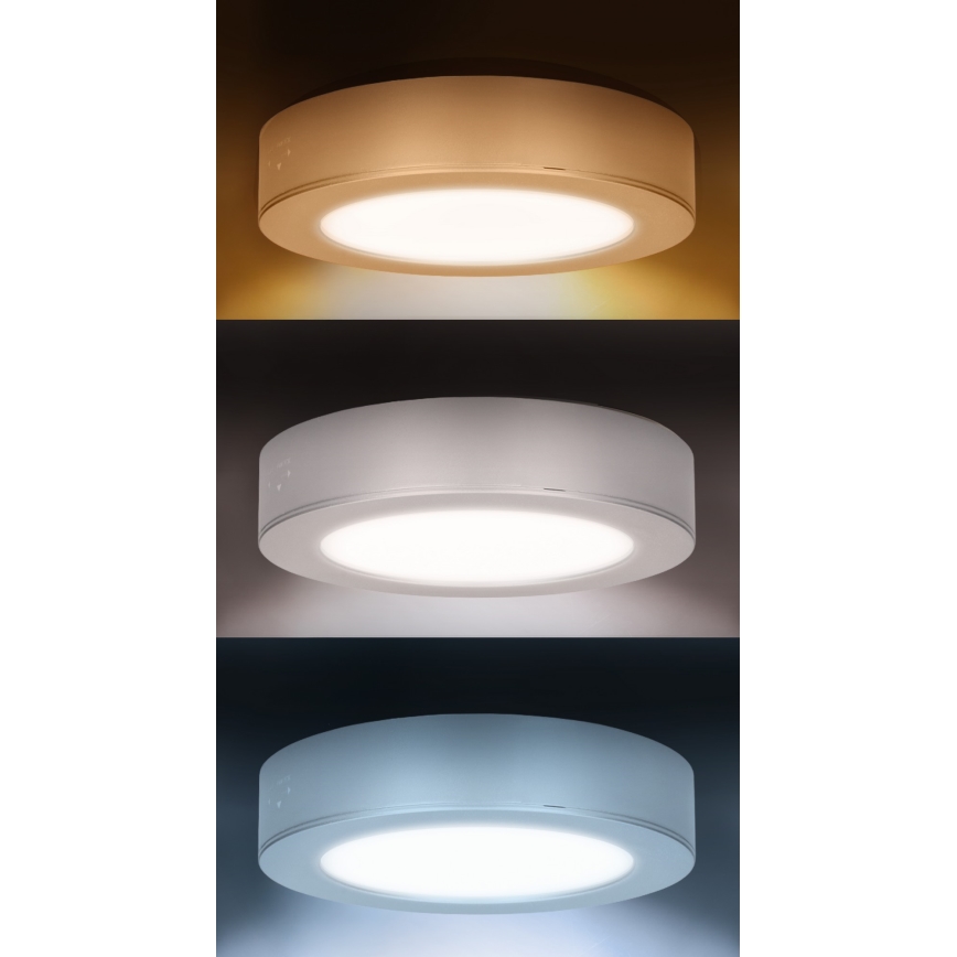 LED virsmas/iebūvējamais panelis 2in1 LED/12W/230V 3000/4000/6000K Ø17 cm IP54 sudraba