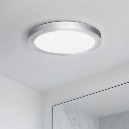 LED virsmas/iebūvējamais panelis 2 vienā 18W/230V 3000/4000/6000K Ø 22,5 cm IP54 sudraba