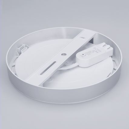 LED virsmas/iebūvējamais panelis 2 vienā 18W/230V 3000/4000/6000K Ø 22,5 cm IP54 sudraba