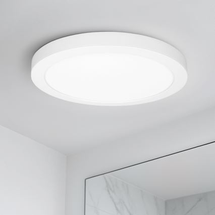 LED virsmas/iebūvējamais panelis 2 vienā 18W/230V 3000/4000/6000K Ø22,5 cm IP54 balts