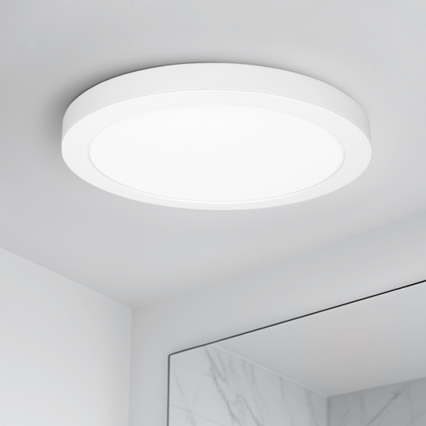 LED virsmas/iebūvējamais panelis 2 vienā 18W/230V 3000/4000/6000K Ø22,5 cm IP54 balts