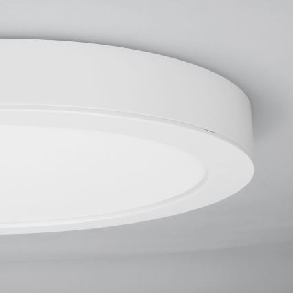 LED virsmas/iebūvējamais panelis 2 vienā 18W/230V 3000/4000/6000K Ø22,5 cm IP54 balts
