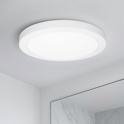 LED virsmas/iebūvējamais panelis 2 vienā 24W/230V 3000/4000/6000K Ø 30 cm IP54 balts