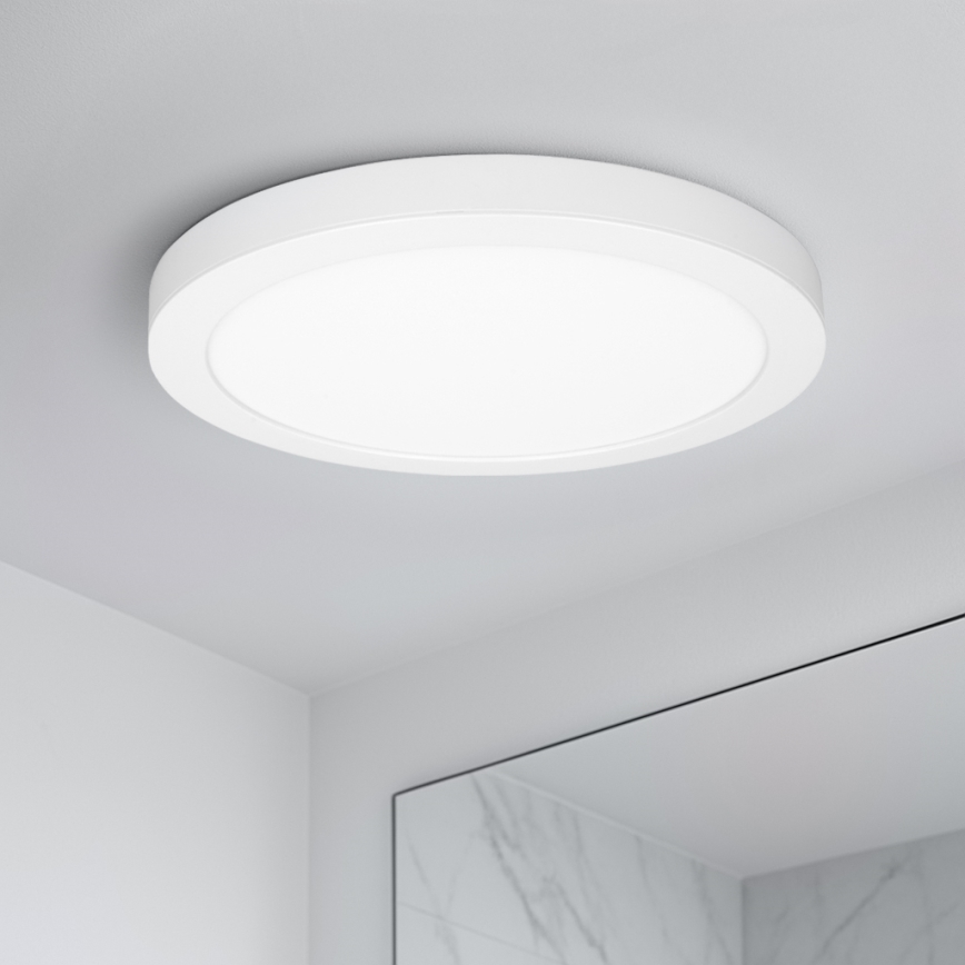 LED virsmas/iebūvējamais panelis 2 vienā 24W/230V 3000/4000/6000K Ø 30 cm IP54 balts