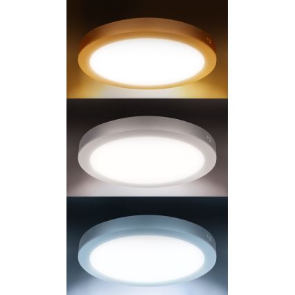 LED virsmas/iebūvējamais panelis 2 vienā 24W/230V 3000/4000/6000K Ø 30 cm IP54 balts