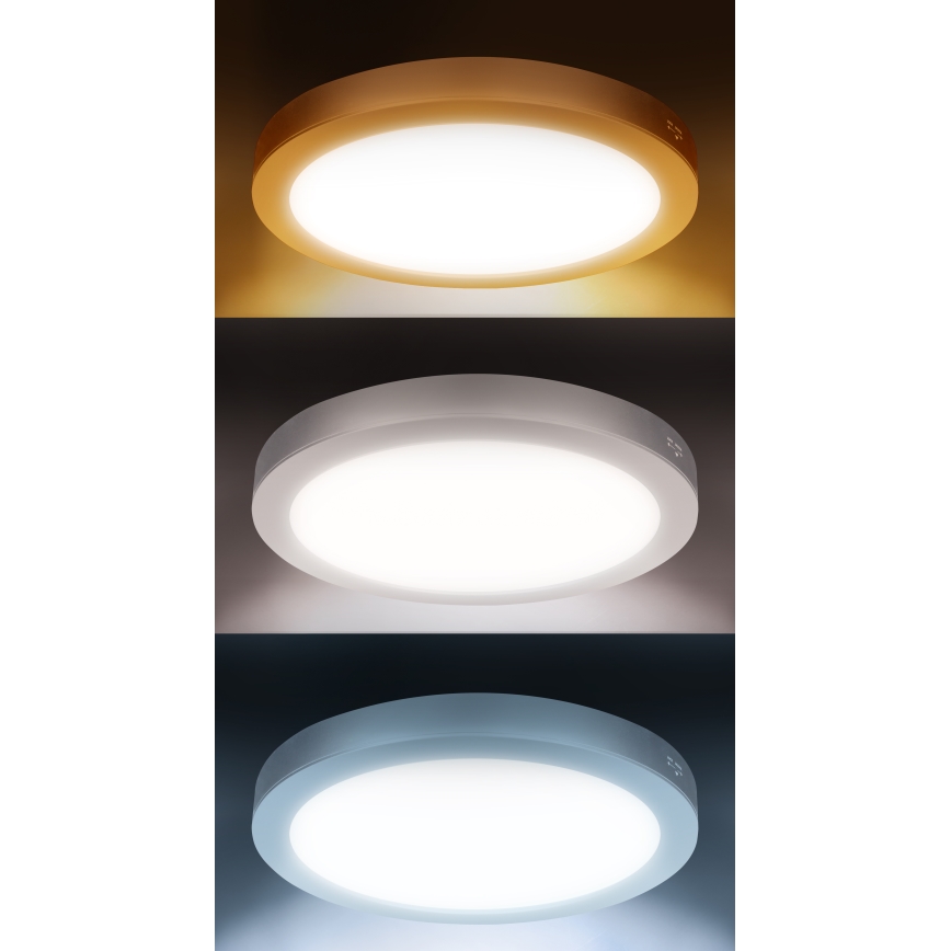 LED virsmas/iebūvējamais panelis 2 vienā 24W/230V 3000/4000/6000K Ø 30 cm IP54 balts