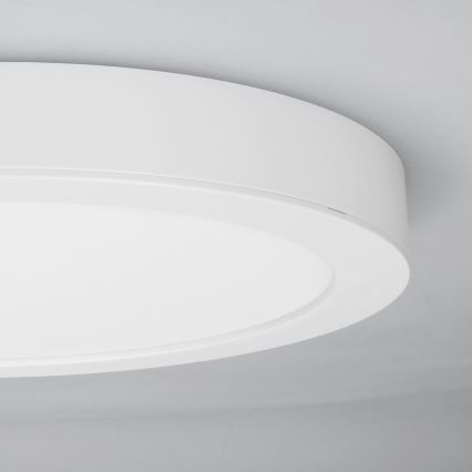 LED virsmas/iebūvējamais panelis 2 vienā 24W/230V 3000/4000/6000K Ø 30 cm IP54 balts
