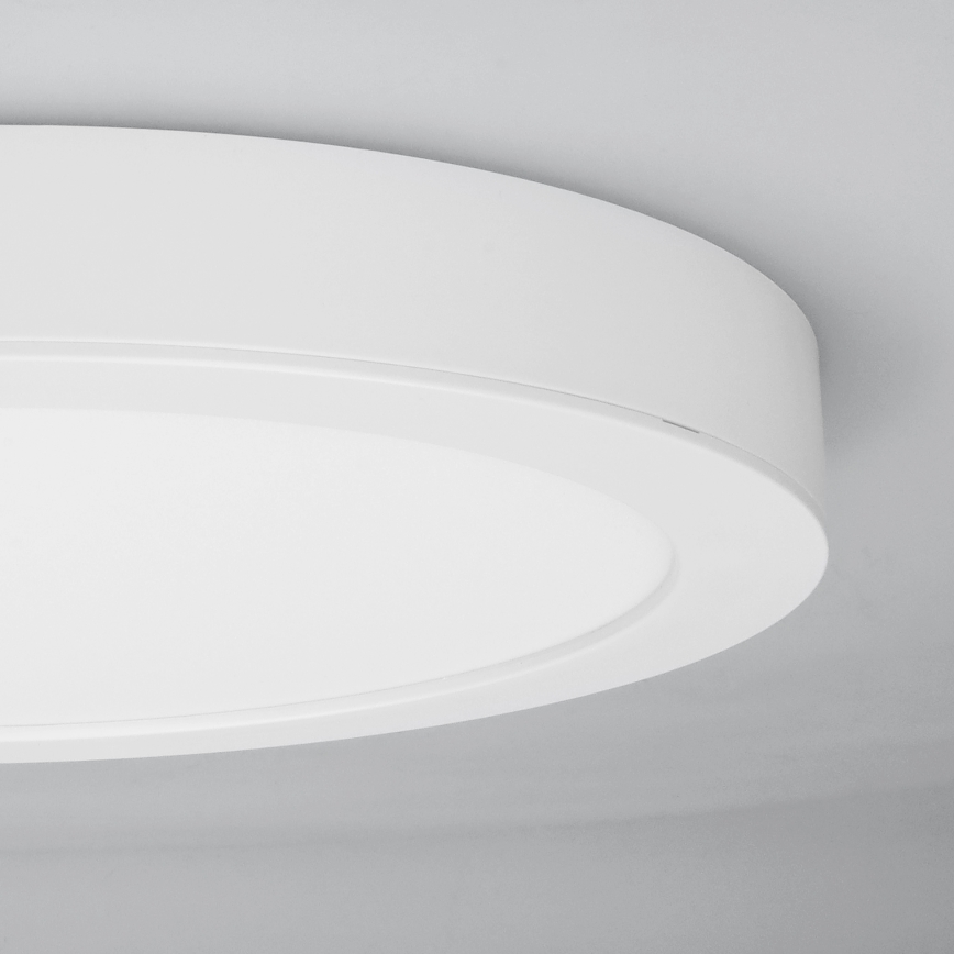 LED virsmas/iebūvējamais panelis 2 vienā 24W/230V 3000/4000/6000K Ø 30 cm IP54 balts