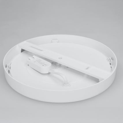 LED virsmas/iebūvējamais panelis 2 vienā 24W/230V 3000/4000/6000K Ø 30 cm IP54 balts