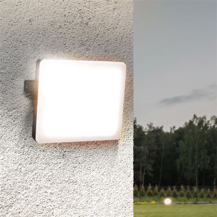 LED Āra prožektors LED/50W/230V 4000K IP65