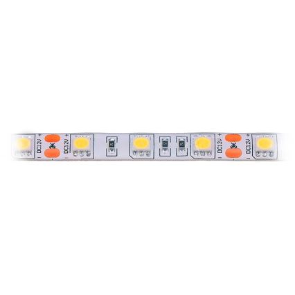 LED Āra josla LED/72W/12V 5m IP65 silti balta