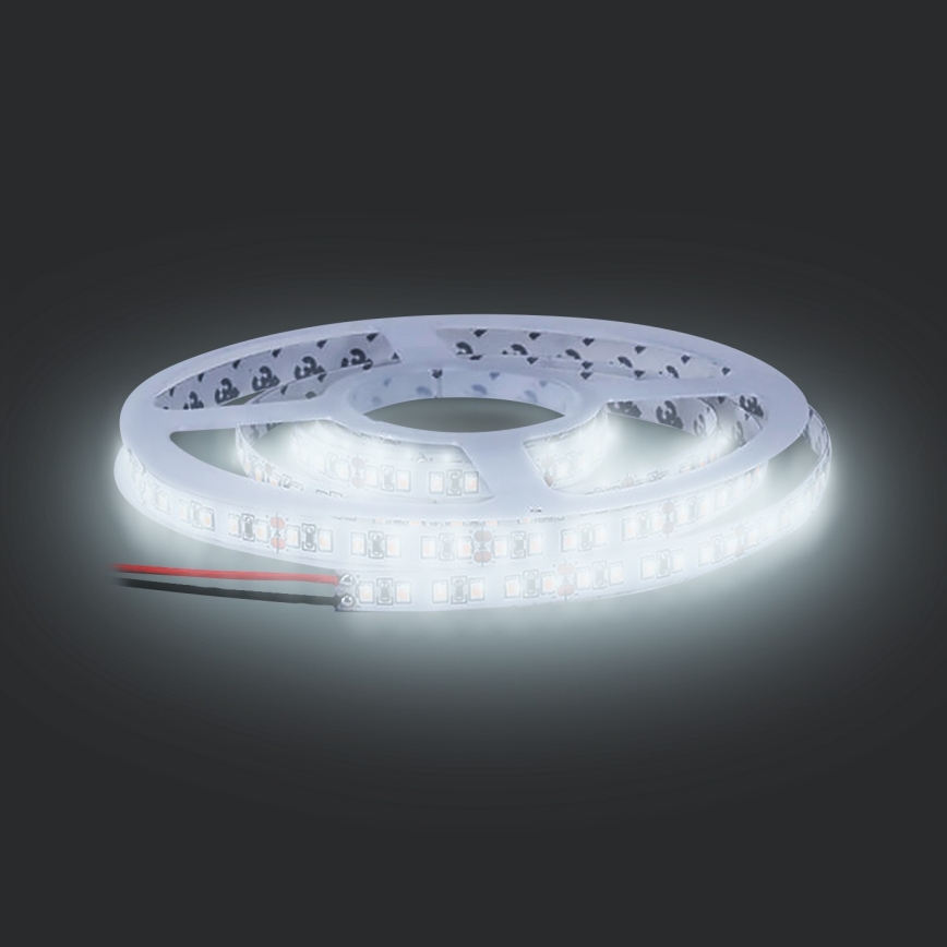 LED Josla LED/50W/12V 5m vēsi balta