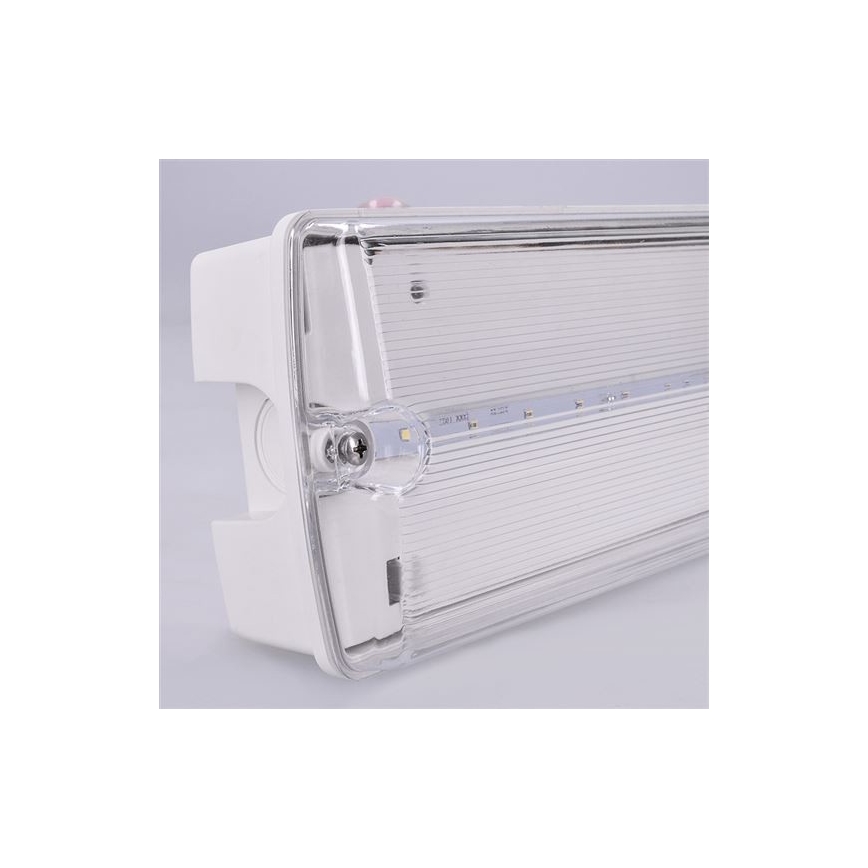 LED Avārijas gaismas lampa LED/6W/230V IP65 6500K