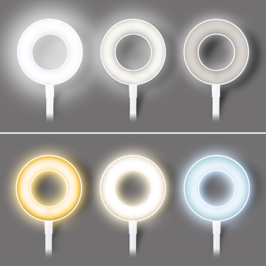 Regulējama LED galda lampa ar skavu LED/8W/230V 3000/4000/5000K balta