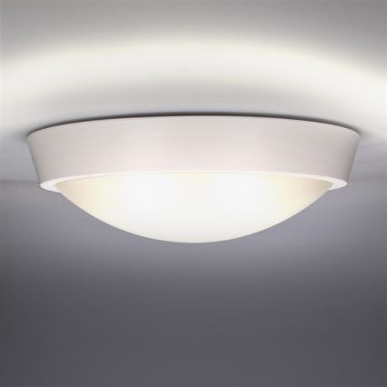 LED āra griestu gaismeklis LED/30W/230V IP65