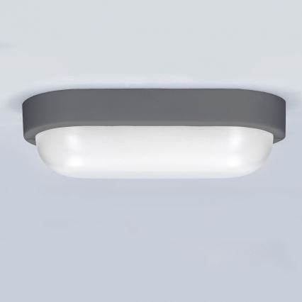 LED Āra sienas lampa LED/13W/230V 4000K IP54 pelēka ovāls