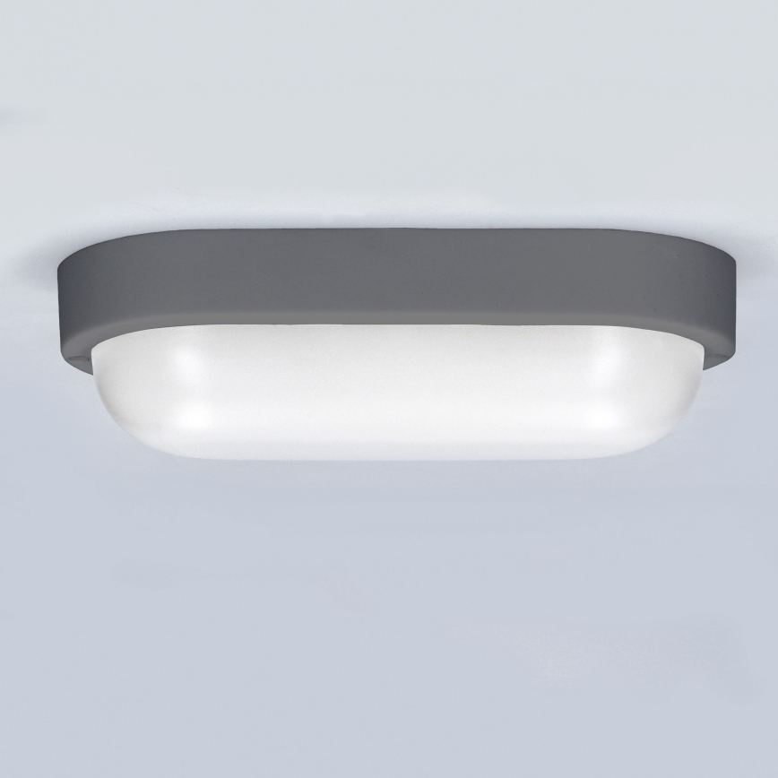 LED Āra sienas lampa LED/13W/230V 4000K IP54 pelēka ovāls
