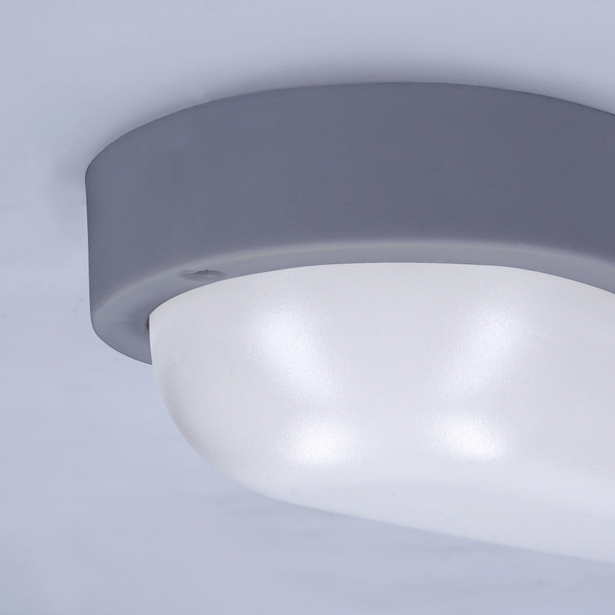 LED Āra sienas lampa LED/13W/230V 4000K IP54 pelēka ovāls